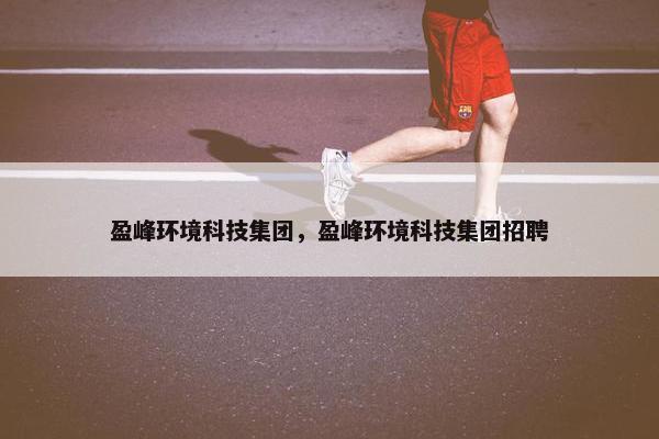 盈峰环境科技集团，盈峰环境科技集团招聘