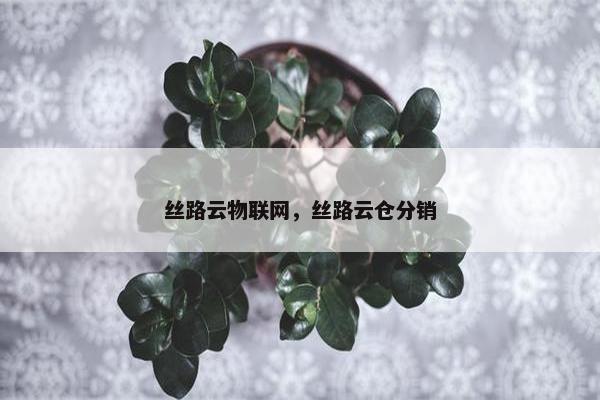 丝路云物联网，丝路云仓分销