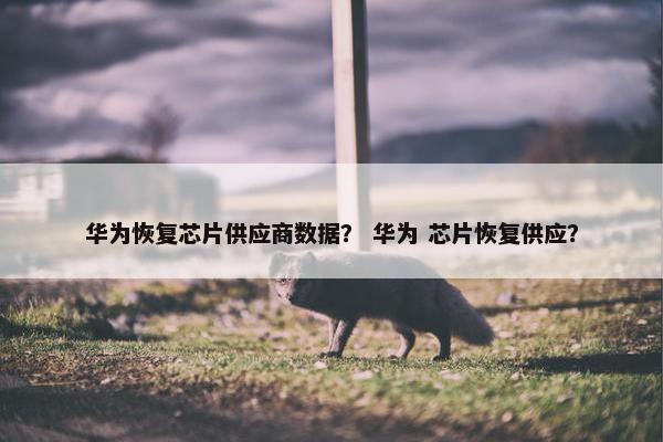 华为恢复芯片供应商数据？ 华为 芯片恢复供应？