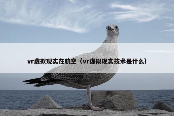 vr虚拟现实在航空（vr虚拟现实技术是什么）