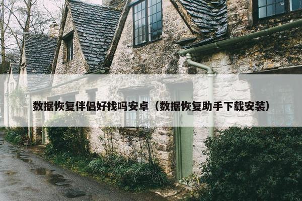 数据恢复伴侣好找吗安卓（数据恢复助手下载安装）