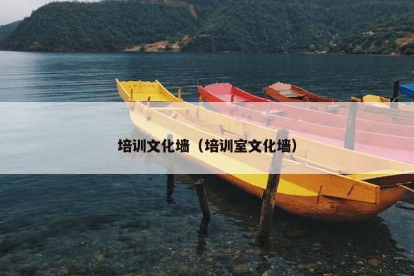 培训文化墙（培训室文化墙）