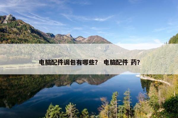 电脑配件调包有哪些？ 电脑配件 药？