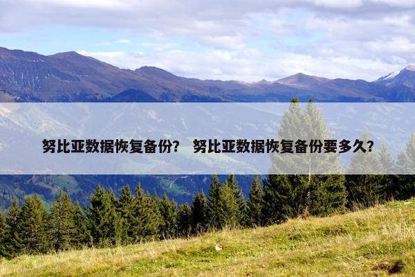 努比亚数据恢复备份？ 努比亚数据恢复备份要多久？