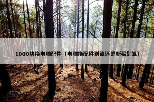 1000块换电脑配件（电脑换配件划算还是新买划算）