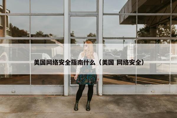 美国网络安全指南什么（美国 网络安全）