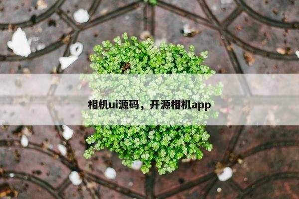 相机ui源码，开源相机app