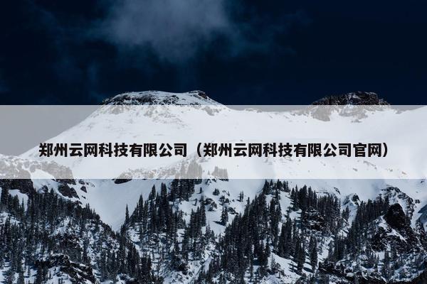 郑州云网科技有限公司（郑州云网科技有限公司官网）
