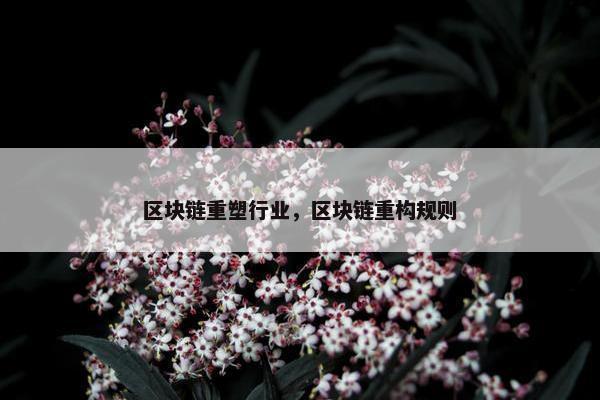 区块链重塑行业，区块链重构规则