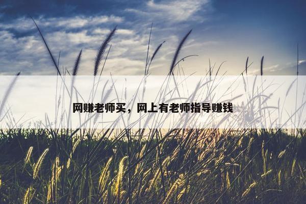 网赚老师买，网上有老师指导赚钱