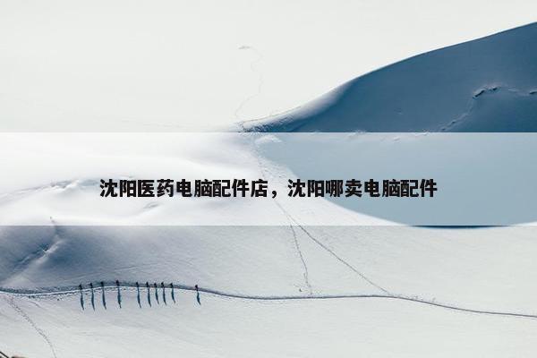 沈阳医药电脑配件店，沈阳哪卖电脑配件