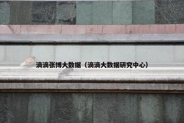 滴滴张博大数据（滴滴大数据研究中心）