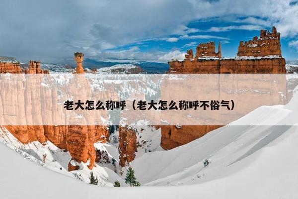 老大怎么称呼（老大怎么称呼不俗气）