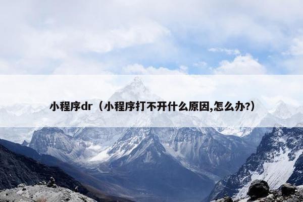 小程序dr（小程序打不开什么原因,怎么办?）