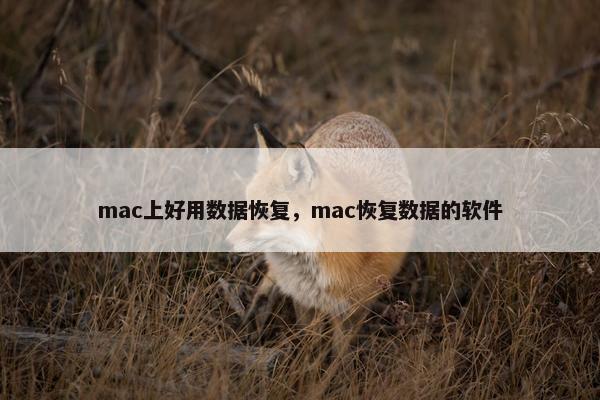 mac上好用数据恢复，mac恢复数据的软件