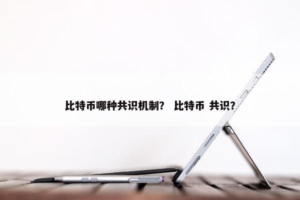 比特币哪种共识机制？ 比特币 共识？