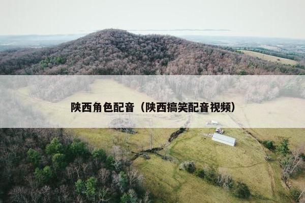 陕西角色配音（陕西搞笑配音视频）