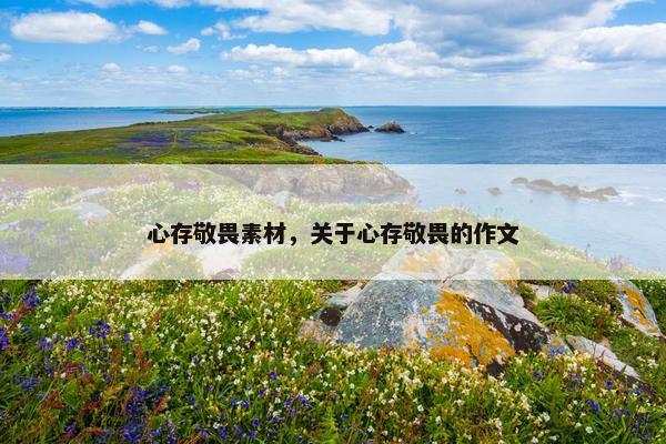 心存敬畏素材，关于心存敬畏的作文