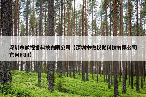 深圳市微视觉科技有限公司（深圳市微视觉科技有限公司官网地址）