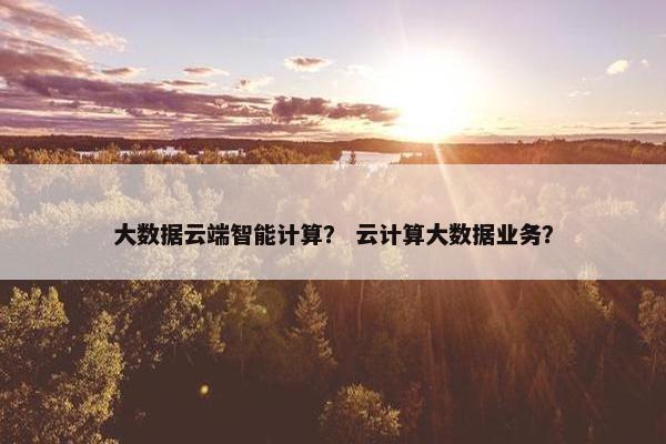 大数据云端智能计算？ 云计算大数据业务？