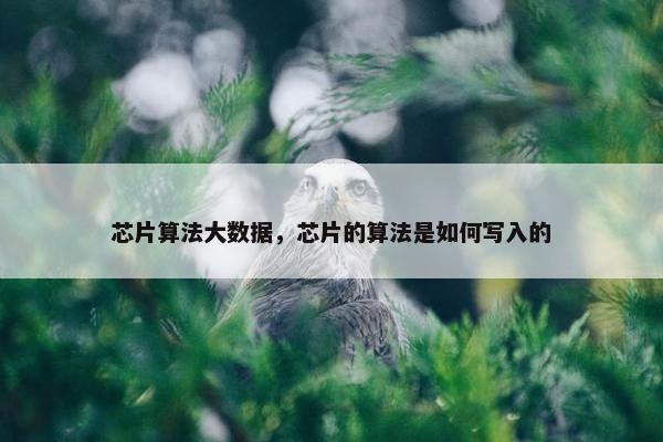 芯片算法大数据，芯片的算法是如何写入的
