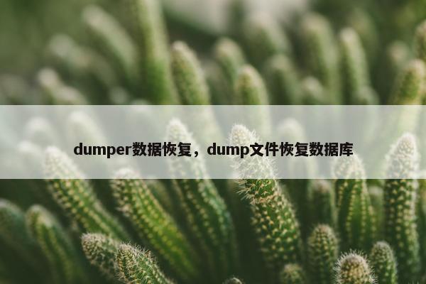 dumper数据恢复，dump文件恢复数据库