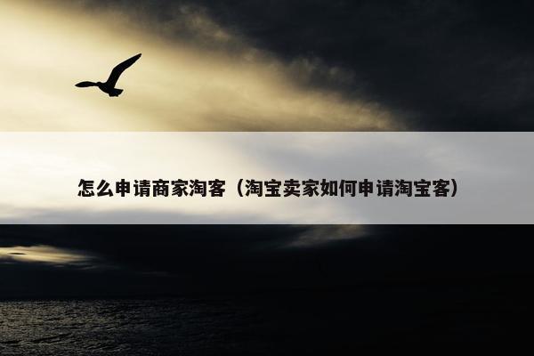 怎么申请商家淘客（淘宝卖家如何申请淘宝客）