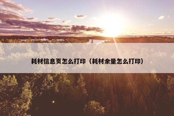 耗材信息页怎么打印（耗材余量怎么打印）