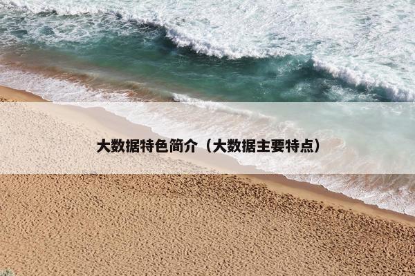 大数据特色简介（大数据主要特点）