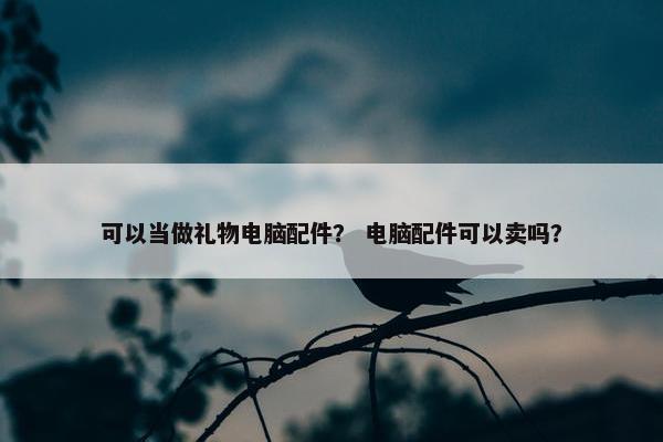 可以当做礼物电脑配件？ 电脑配件可以卖吗？