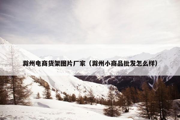 滁州电商货架图片厂家（滁州小商品批发怎么样）