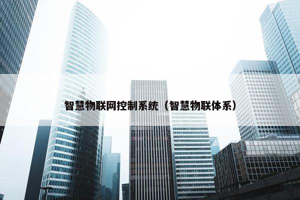 智慧物联网控制系统（智慧物联体系）