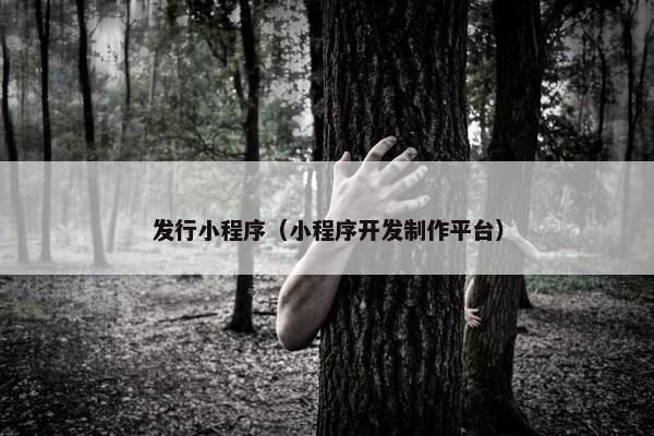 发行小程序（小程序开发制作平台）