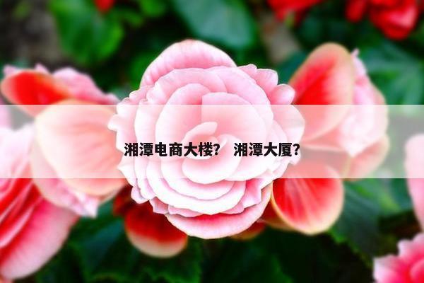 湘潭电商大楼？ 湘潭大厦？