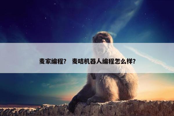 麦家编程？ 麦咭机器人编程怎么样？