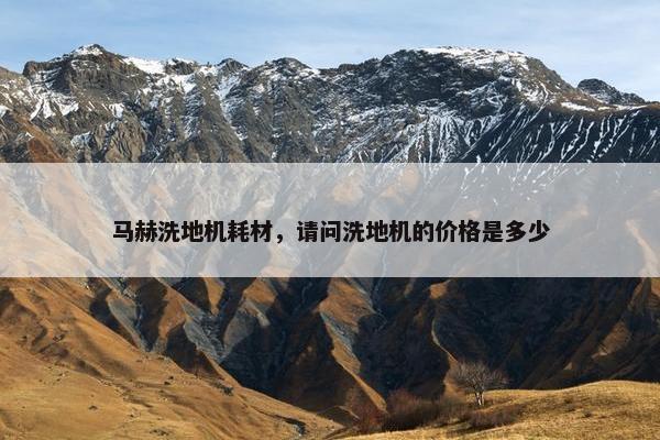 马赫洗地机耗材，请问洗地机的价格是多少