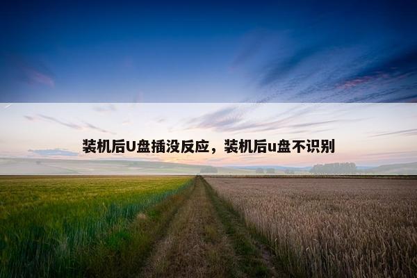 装机后U盘插没反应，装机后u盘不识别