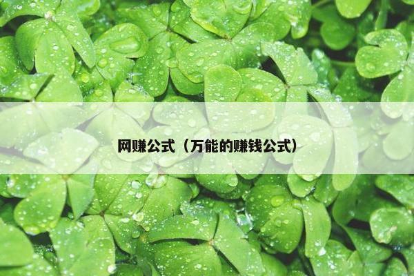 网赚公式（万能的赚钱公式）