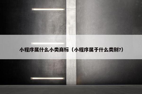 小程序属什么小类商标（小程序属于什么类别?）
