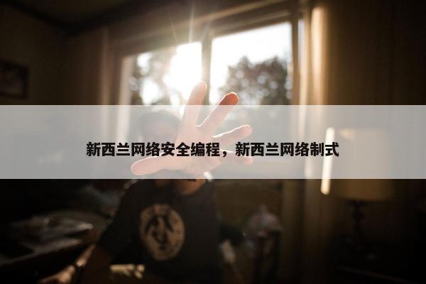 新西兰网络安全编程，新西兰网络制式