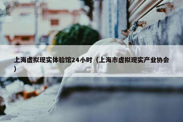 上海虚拟现实体验馆24小时（上海市虚拟现实产业协会）