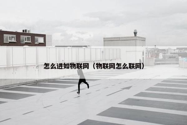 怎么进如物联网（物联网怎么联网）
