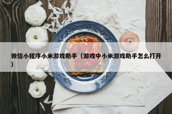 微信小程序小米游戏助手（游戏中小米游戏助手怎么打开）