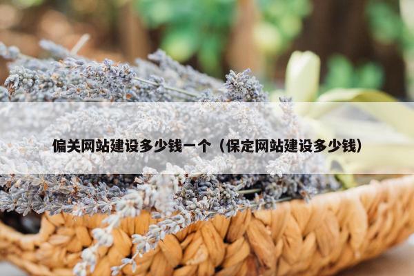 偏关网站建设多少钱一个（保定网站建设多少钱）