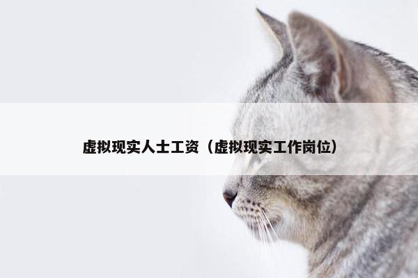 虚拟现实人士工资（虚拟现实工作岗位）