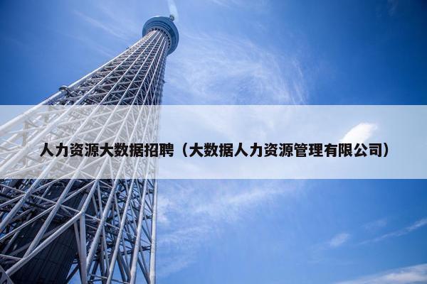 人力资源大数据招聘（大数据人力资源管理有限公司）