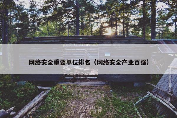 网络安全重要单位排名（网络安全产业百强）