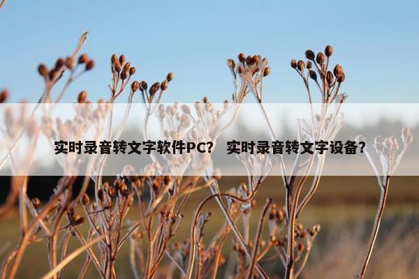 实时录音转文字软件PC？ 实时录音转文字设备？