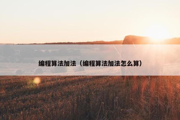 编程算法加法（编程算法加法怎么算）