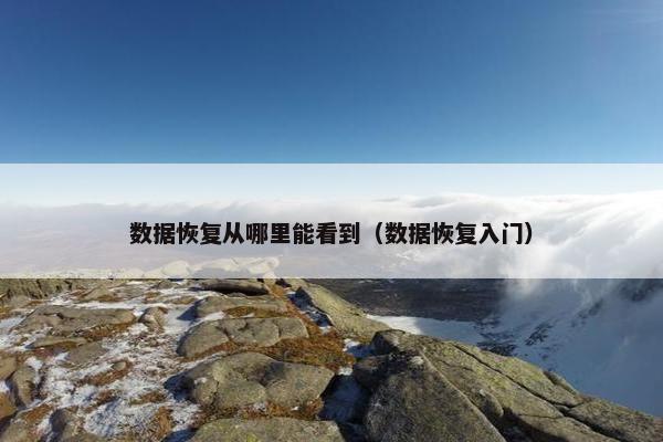 数据恢复从哪里能看到（数据恢复入门）